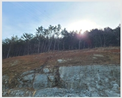  2024Ÿ��797 �泲 �뿵�� ������ �쵿�� 8-6      ����(��1)���