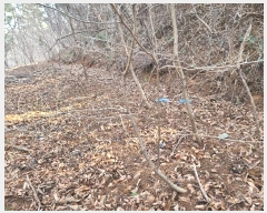  2024Ÿ��797 �泲 �뿵�� ������ �쵿�� 8-6      ����(��1)���