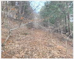  2024Ÿ��797 �泲 �뿵�� ������ �쵿�� 8-6      ����(��1)���