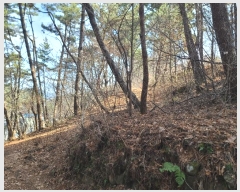  2024Ÿ��797 �泲 �뿵�� ������ �쵿�� 8-6      ����(��1)���