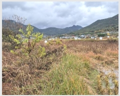  2024Ÿ��4973 �泲 ������ ������ ȿ���� 687-4      ����(����)���