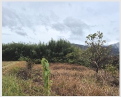  2024Ÿ��4973 �泲 ������ ������ ȿ���� 687-4      ����(����)���