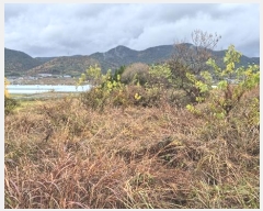  2024Ÿ��4973 �泲 ������ ������ ȿ���� 687-4      ����(����)���