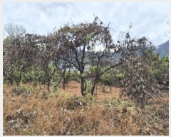  2024Ÿ��4973 �泲 ������ ������ ȿ���� 687-4      ����(����)���