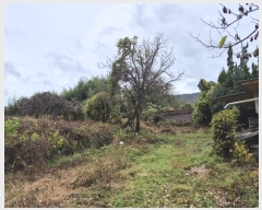  2024Ÿ��4973 �泲 ������ ������ ȿ���� 687-4      ����(����)���