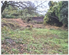  2024Ÿ��4973 �泲 ������ ������ ȿ���� 687-4      ����(����)���