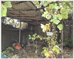  2024Ÿ��4973 �泲 ������ ������ ȿ���� 687-4      ����(����)���