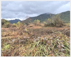  2024Ÿ��4973 �泲 ������ ������ ȿ���� 687-4      ����(����)���