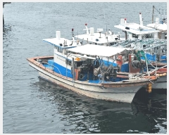  2024Ÿ5044           ڰ