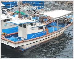  2024Ÿ5044           ڰ