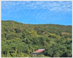  2024Ÿ5136 泲 뿵  긮 1-45      (Ӿ)