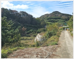  2024Ÿ5136 泲 뿵  긮 1-45      (Ӿ)