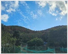  2024Ÿ5136 泲 뿵  긮 1-45      (Ӿ)