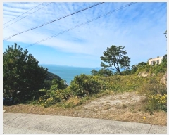  2024Ÿ5136 泲 뿵  긮 1-45      (Ӿ)