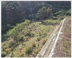  2024Ÿ5136 泲 뿵  긮 1-45      (Ӿ)