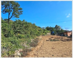  2024Ÿ5136 泲 뿵  긮 1-45      (Ӿ)