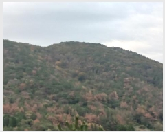  2024Ÿ5136 泲 뿵  긮 1-45      (Ӿ)