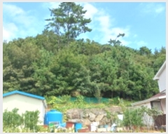  2024Ÿ��28726 �泲 ������ ���ʸ� ���� ��115-2      ����(�Ӿ�)���