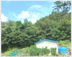  2024Ÿ��28726 �泲 ������ ���ʸ� ���� ��115-2      ����(�Ӿ�)���