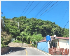  2024Ÿ29781 泲 뿵  ׸ 76-1      (Ӿ)