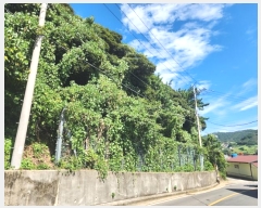  2024Ÿ29781 泲 뿵  ׸ 76-1      (Ӿ)