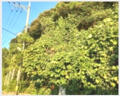  2024Ÿ29781 泲 뿵  ׸ 76-1      (Ӿ)