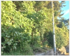  2024Ÿ29781 泲 뿵  ׸ 76-1      (Ӿ)