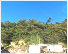  2024Ÿ29781 泲 뿵  ׸ 76-1      (Ӿ)