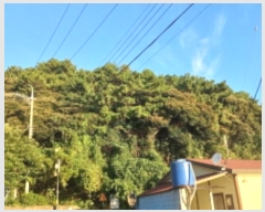  2024Ÿ29781 泲 뿵  ׸ 76-1      (Ӿ)