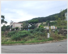  2024Ÿ29941 泲  Ͽ  535      ܵ,ð