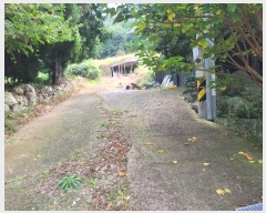  2024Ÿ29941 泲  Ͽ  535      ܵ,ð