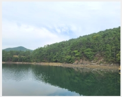  2024Ÿ29941 泲  Ͽ  535      ܵ,ð