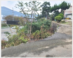  2024Ÿ29941 泲  Ͽ  535      ܵ,ð