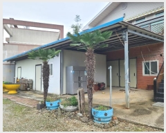  2024Ÿ29941 泲  Ͽ  535      ܵ,ð