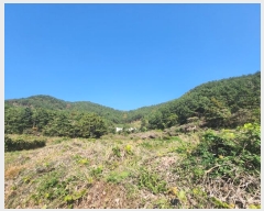  2024Ÿ31302 泲  ̸  570      ()