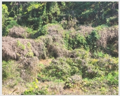  2024Ÿ31302 泲  ̸  570      ()