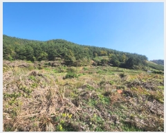  2024Ÿ31302 泲  ̸  570      ()