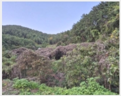  2024Ÿ31302 泲  ̸  570      ()