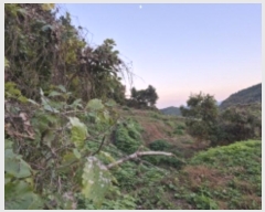  2024Ÿ31302 泲  ̸  570      ()