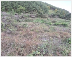  2024Ÿ31302 泲  ̸  570      ()