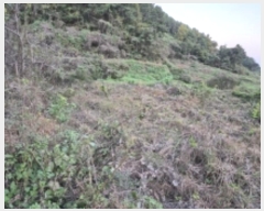  2024Ÿ31302 泲  ̸  570      ()