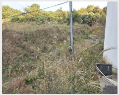  2024Ÿ��31388 �泲 ������ ���θ� �ٴ븮 350-6      �ٰ������ð��