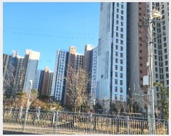  2024Ÿ32381 泲   ε 259-90, 104 2 203ȣ (ũ)  Ʈ