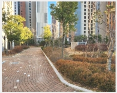  2024Ÿ32381 泲   ε 259-90, 104 2 203ȣ (ũ)  Ʈ