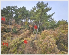  2024Ÿ��32404 �泲 ������ ���� ��53-4       ����(�Ӿ�)���