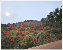  2024Ÿ��32404 �泲 ������ ���� ��53-4       ����(�Ӿ�)���