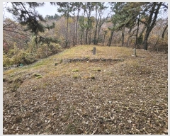  2024Ÿ��32404 �泲 ������ ���� ��53-4       ����(�Ӿ�)���