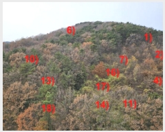  2024Ÿ��32404 �泲 ������ ���� ��53-4       ����(�Ӿ�)���