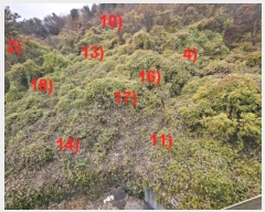  2024Ÿ��32404 �泲 ������ ���� ��53-4       ����(�Ӿ�)���