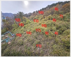  2024Ÿ��32404 �泲 ������ ���� ��53-4       ����(�Ӿ�)���